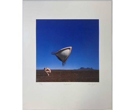 THE CRANBERRIES / STORM THORGERSON BURY THE HATCHET SIGNED FINE ART PRINT. A signed, high-quality fine art print of an image 
