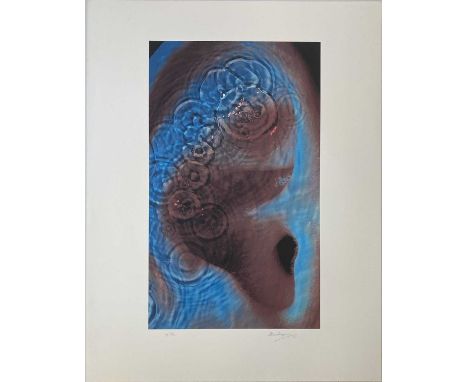 PINK FLOYD / STORM THORGERSON THE SON OF NOTHING SIGNED FINE ART PRINT. A signed, high-quality fine-art print of thick stock 