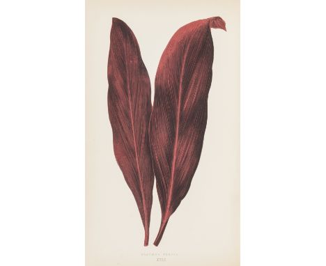 NO RESERVE Pratt (Anne) The Ferns of Great Britain, second edition, 41 colour plates, illustrations, occasional scattered spo