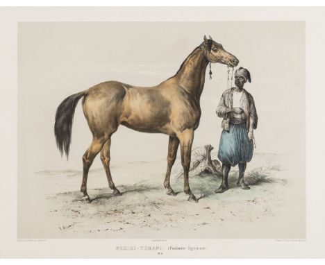 NO RESERVE Horses.- Adam (Victor-Jean, 1801-1866), After. Nedidi-Yemani (Pouliniere Egyptienne); Précieuse (Pouliniere Anglai