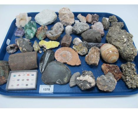 A collection of Mineral Samples, Ammonite, Fossils etc:- One Tray
