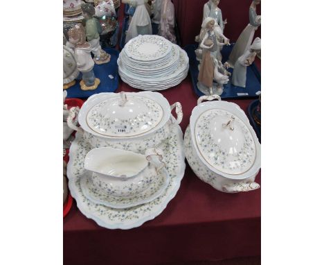 R. Albert 'Caroline' Oval Meat Plates, Two Tureens, Gravy Boat in Stand, six each of Dinner, Dessert and Side Plates.