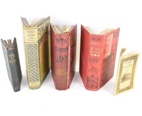 Various old books comprising 'River Angling', 'The Hermit of Warkworth', 'A Northumberland Tale in Three Parts' by Doctor Tho