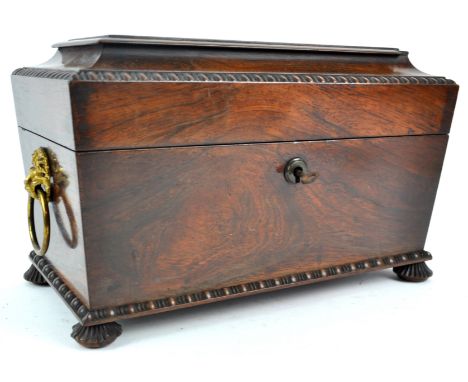 A William IV rosewood tea caddy, with gilt lion mask and ring handles, lacking interior, 20.5cm high x 33cm wide x 17.5cm dee
