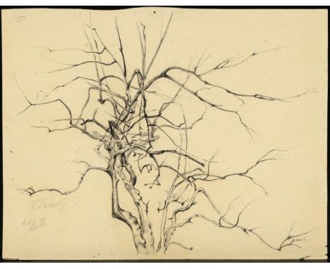                     TÜBBECKE,             Paul Wilhelm(1848 Berlin - 1924 Weimar)    Studie eines dürren BaumesKohlezeichnung