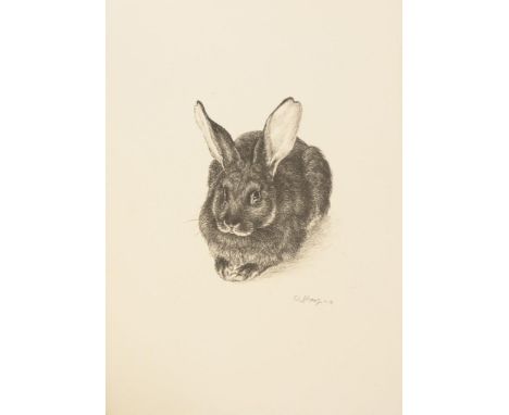                     PAETZ,             Otto(1914 Reichenbach im Vogtland - 2006 Zella-Mehlis)    "Kaninchen I"Lithografie. Bl