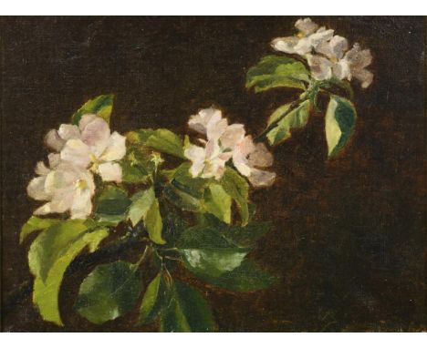             ApfelblütenzweigÖl/Leinwand. Unsigniert, verso als "Egeskov" bezeichnet. 19. Jh. 26,5 x 35 cm. Gerahmt : 33,5 x 4