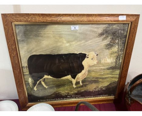 A framed print of a prize Hereford bull. 20' x 24'