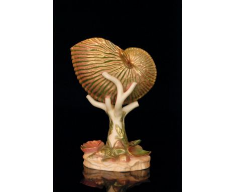 A Royal Worcester spill vase modelled as a nautilus shell raised to a faux coral pedestal with moulded shells to the base, th