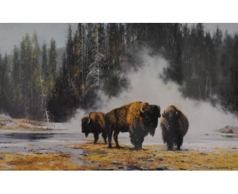 AFTER DAVID SHEPHERD (b.1931) - 'The Hot Springs of Yellowstone', limited edition photographic reproduction, signed in pencil