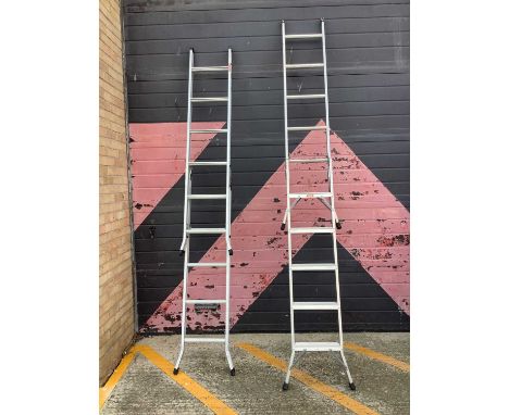 Abru 3 way ladder together with a Beldray 3 way top flight ladder.
