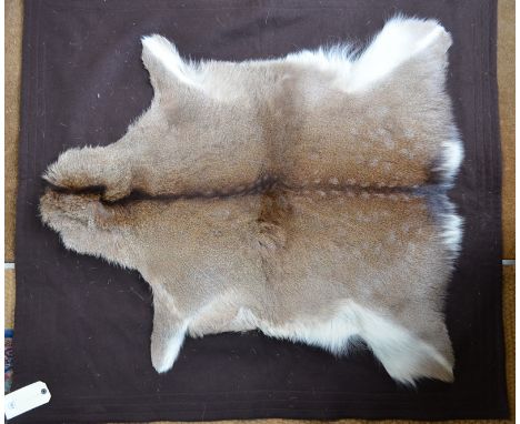 Fur mounted trophy rug - reindeer fawn, by Army & Navy C S Ltd, 107 x 121 cm