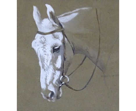 Mabel Augusta Kingwell (1890-1924) HEAD AND SHOULDERS OF A GREY HORSE Signed watercolour heightened in white, on brown paper,