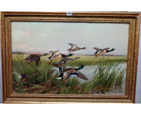 Thomas Blinks (1860-1912), Mallard in flight, oil on canvas, signed. 46cm x 73cm. Illustrated
Provenance: With N. R. Omell.  