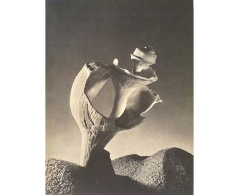 Artist: Ruth Bernhard (American, 1905-2006). Title: "Seashell". Medium: Original vintage photogravure. Date: Composed c1938. 