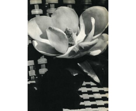 Artist: Man Ray (American, 1890 - 1976). Title: "Magnolia Blossom". Medium: Original vintage photogravure. Date: Composed 192