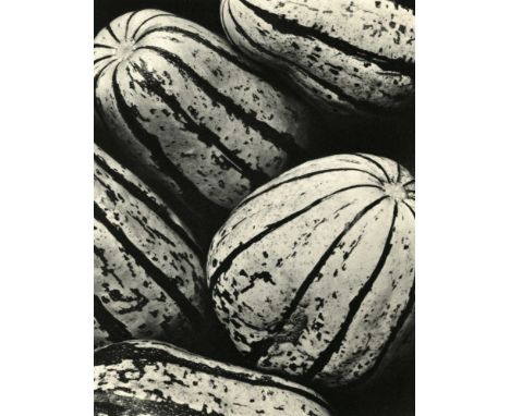 Artist: Edward Weston (American, 1886 - 1958). Title: "Winter Squash". Medium: Original vintage photogravure. Date: Composed 