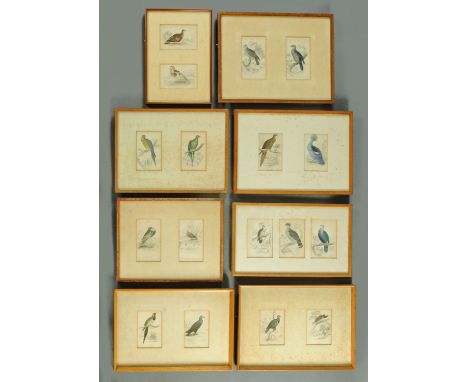 Edward Lear, eight framed pairs of ornithological studies.  Each print 14 cm x 9.5 cm, two per frame, frames varying in size.