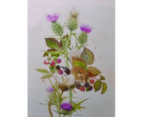 Elizabeth Walsh (20th Century) British. ‘The Mouse’, a Mouse in a Raspberry Bush, Watercolour, Signed, 12” x 9.5”, together w