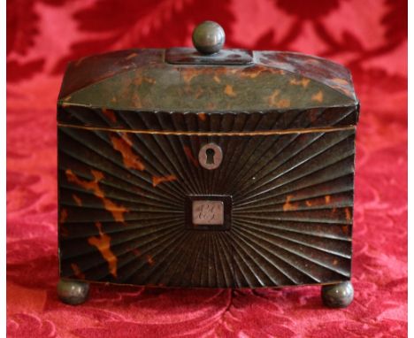 Regency tortoiseshell bowfronted two-division tea caddy on ball feet with spherical knop, 18cm x 17cm. CONDITION REPORT: Mult