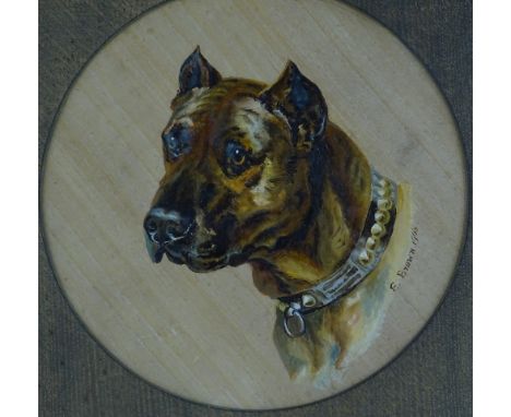 E Brown, oil on board, portrait of a dog, signed and dated 1908, 10.5" across.