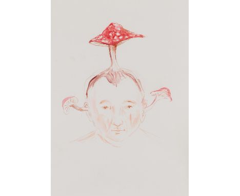 VARGA WEISZ, PALOMA1966 MannheimTitel: "Toadstool-face". Datierung: 2004. Technik: Aquarell und Farbstift auf Papier. Maße: 4