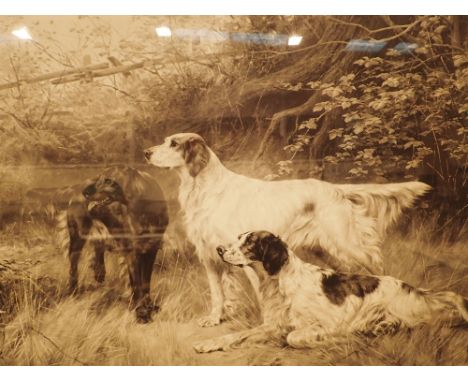Large antique lithograph print of three gun dogs 48 x 80 cm CONDITION REPORT: Print is good and the frame is sound. Surround 