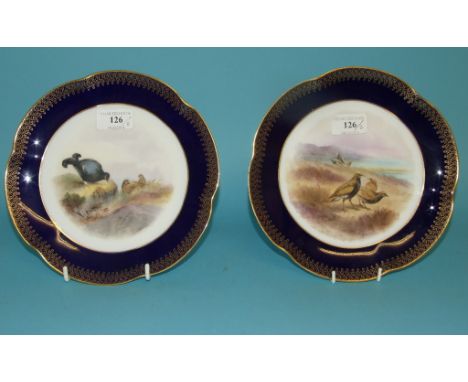 A pair of Royal Worcester plates, decorated birds, signed C Johnson, 22 cm diameter (2)