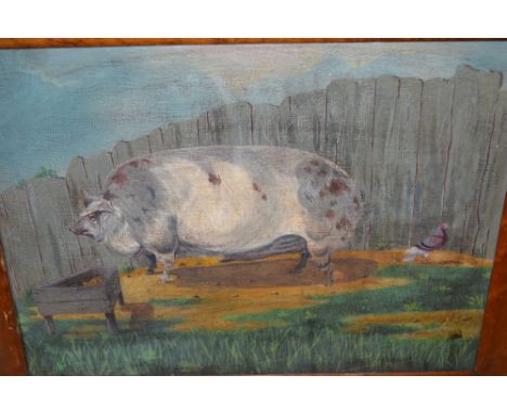 Naive oil on board, study of a pig by a trough in a maple frame (a/f), 15ins x 12ins