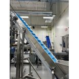 (Located in Joliet, IL) WeighPack Infeed Poly Conveyor, Serial# 6489, 120V, Single Phase, 60 Hz