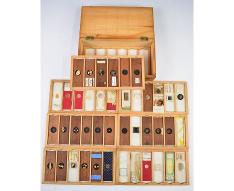 Case of approximately 42 late 19th or early 20thC microscope slides to include moth eggs, locust wings, fossils and shells