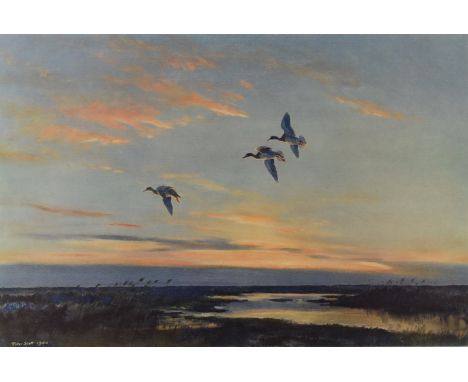 Peter Scott (1909-1989) signed print of ducks in flight, 38 x 55cm, in limed wood frame
