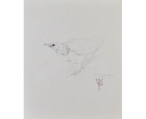 Raymond Harris Ching (born 1939) sketch of a Corncrake bird, monogrammed and dated 1968 lower right and also titled plate 30,