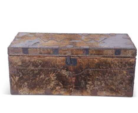 19th century pony skin mounted trunk of rectangular form, the lid with brass studded initials 'WW', which relates to the Wedd