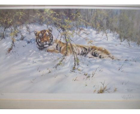 Tony Forrest (British 1961) - Tiger in the Snow - a limited edition print signed and numbered 8/500 in pencil to lower margin