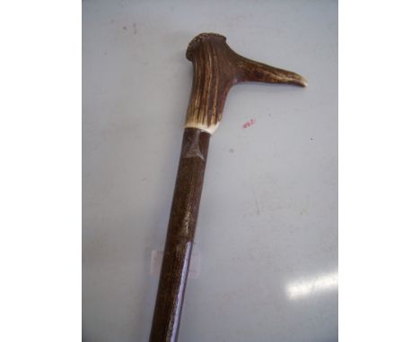 Antler handled walking stick (overall length 99cm)