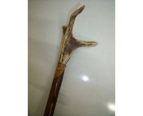 Antler topped thumb style stick (overall length 115cm) 