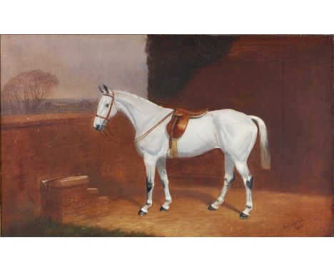 Basil Nightingale (1864-1940) - Study of a grey horse outside its stable, oil on canvas (re-lined), signed and dated lower ri