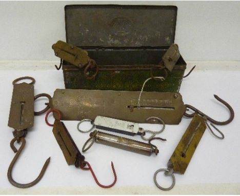 Eight spring balance scales including Salter and Hughes