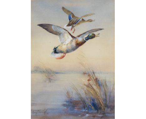 William E. Powell (British, 1878-1955), ducks in flight, signed and dated 1926 l.l., watercolour, 33cm by 24cm, in a later gi