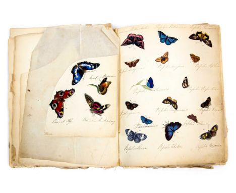 English Regency album containing a quantity of original watercolours and pencil sketches, including illustrations of plants/f
