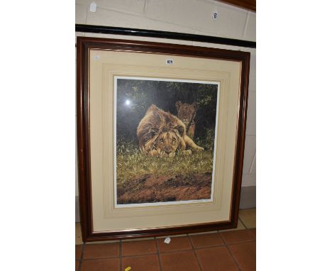 SIMON COMBES (1940-2004) 'THE HYPNOTIST', a signed limited edition print depicting a portrait of a Lion and Lioness, 172 / 12
