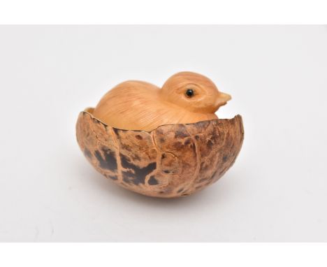 A NETSUKE, carved vegetable ivory depicting a chick in a shell, approximate length 50mm, unsigned, (condition report: general