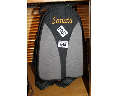Cased Sonata clarinet in excellent condition