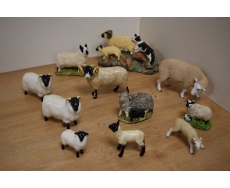 A group of three Beswick Pottery black-faced sheep, comprising two number 1765 designed by Mr Garbet and a black-faced lamb n