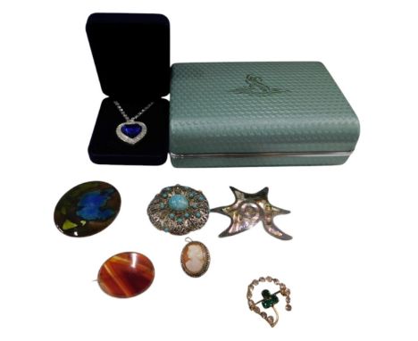 Silver and costume jewellery, including an agate set brooch, enamel Ayre's brooch, and a Titanic pendant.