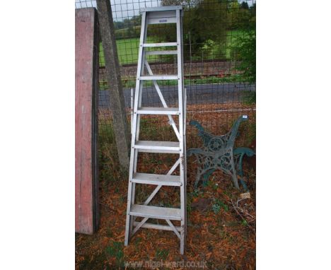 A Ramsey aluminium six rung step ladder.