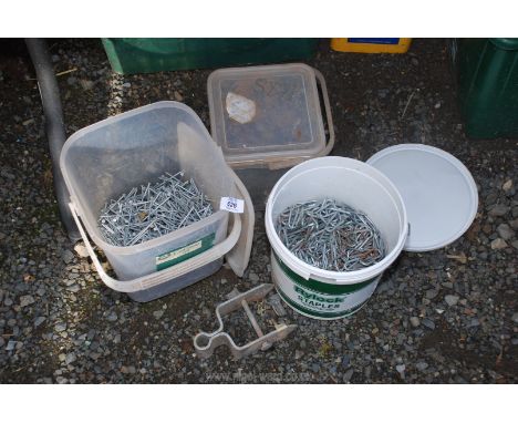 Three buckets containing staples, galvanised nails, gate hinge, etc.