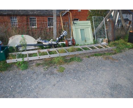 A 12 rung aluminium single ladder.