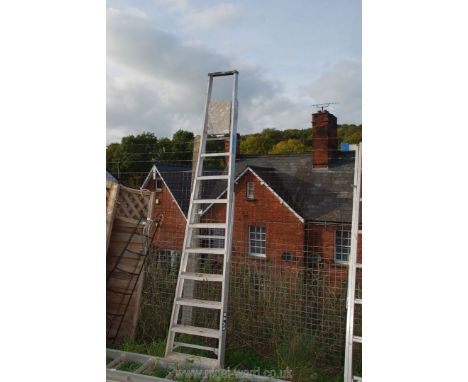 A 9 rung aluminium ladder.